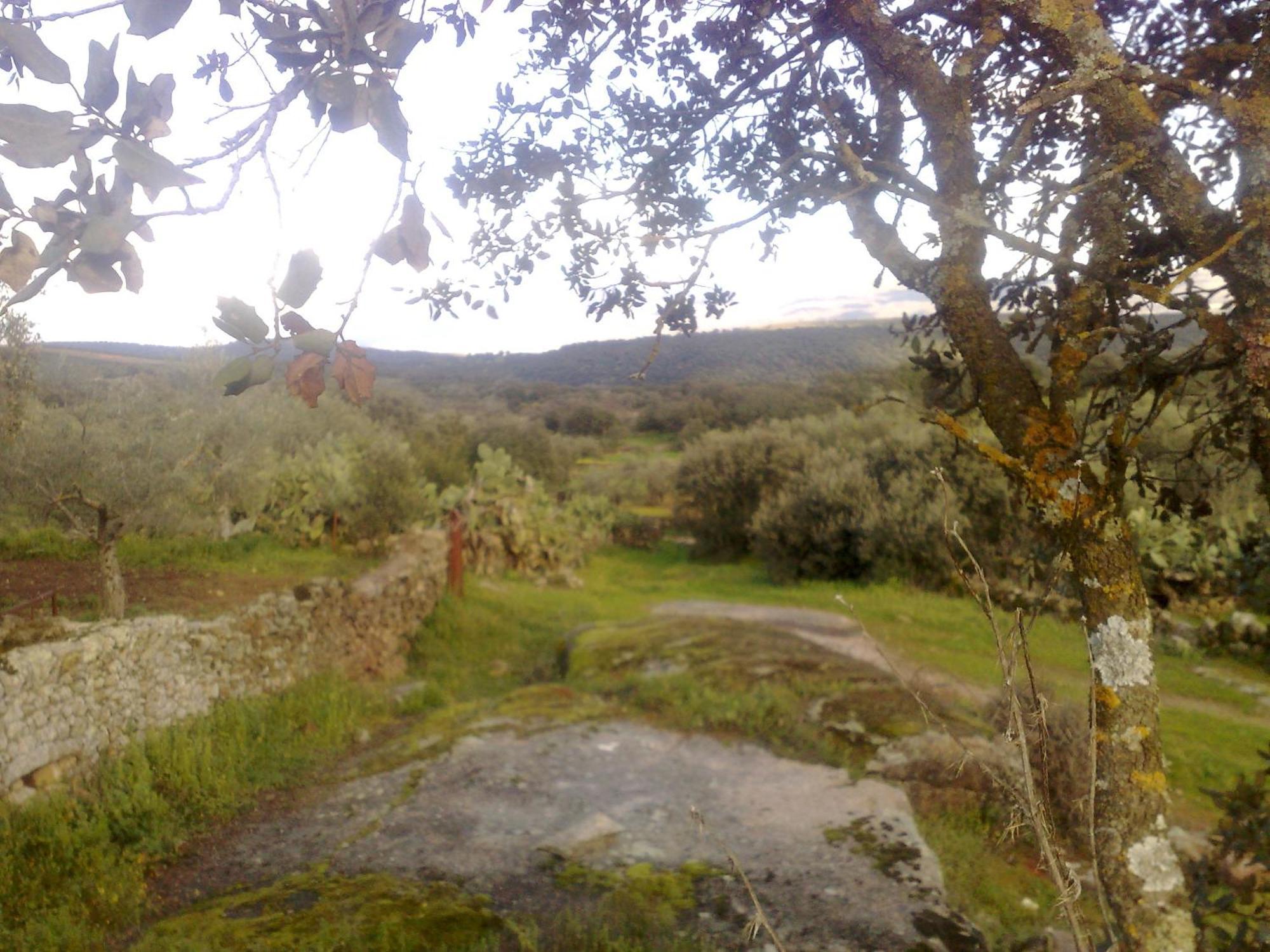 Apartamentos El Jardin Del Poeta Guijo de Granadilla Bagian luar foto