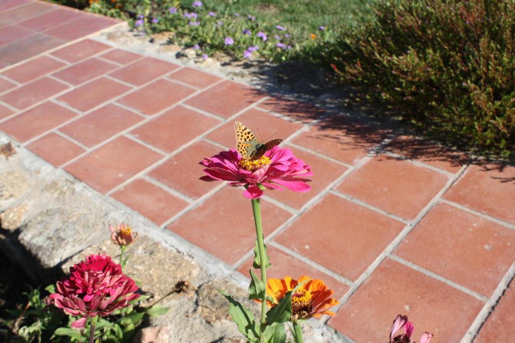 Apartamentos El Jardin Del Poeta Guijo de Granadilla Bagian luar foto