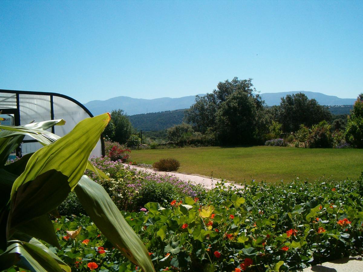Apartamentos El Jardin Del Poeta Guijo de Granadilla Bagian luar foto