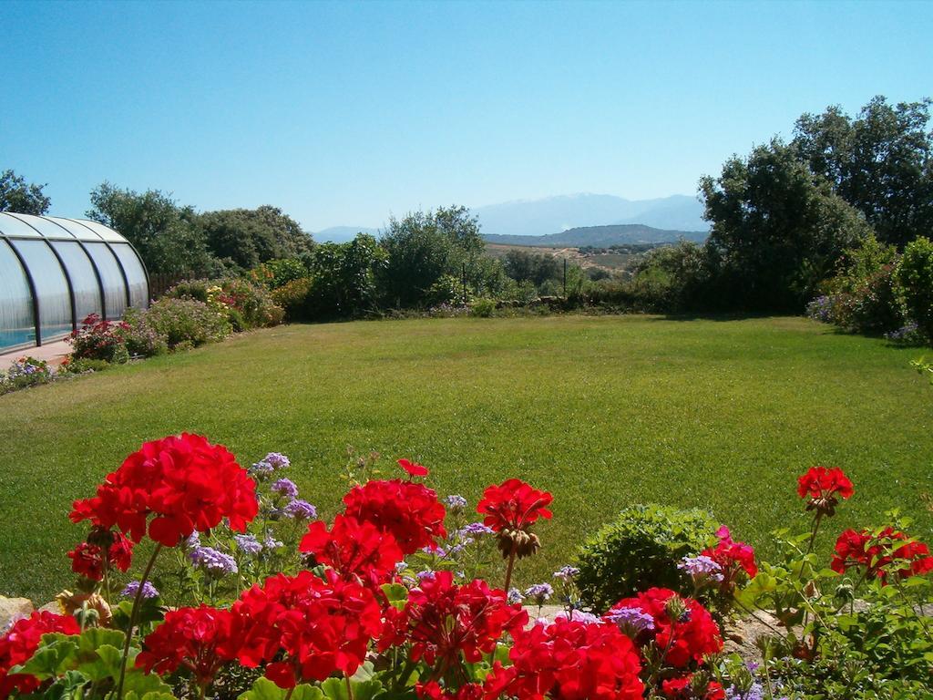 Apartamentos El Jardin Del Poeta Guijo de Granadilla Bagian luar foto