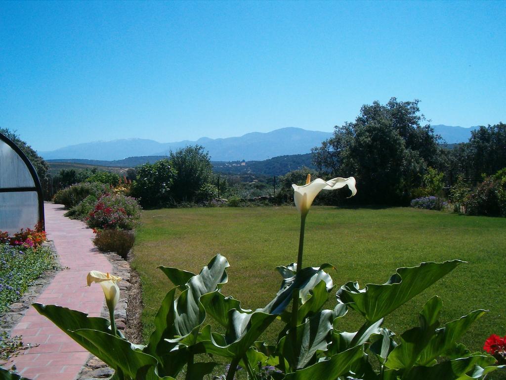 Apartamentos El Jardin Del Poeta Guijo de Granadilla Bagian luar foto
